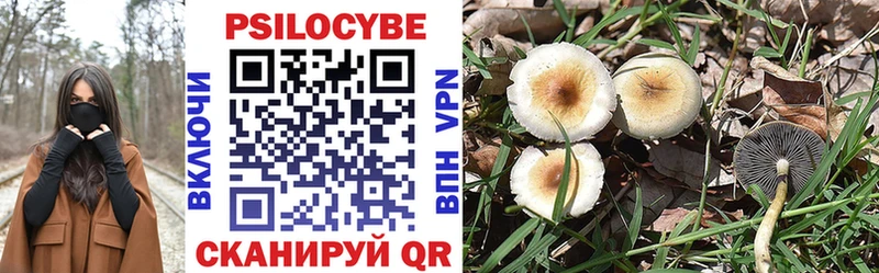 Галлюциногенные грибы Psilocybe  Набережные Челны 